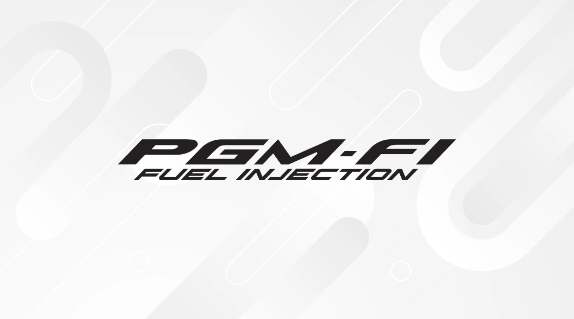 PGM FI Technology